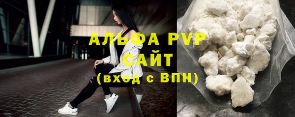 индика Володарск