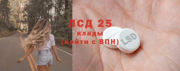хмурый Вяземский