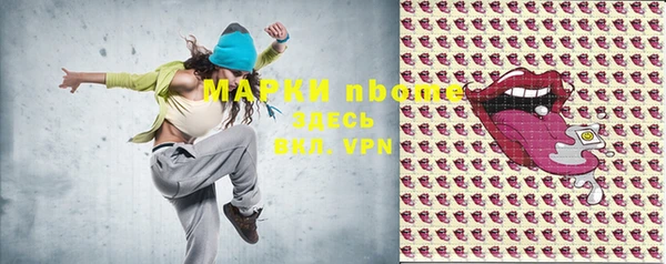 хмурый Вяземский