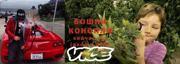хмурый Вяземский