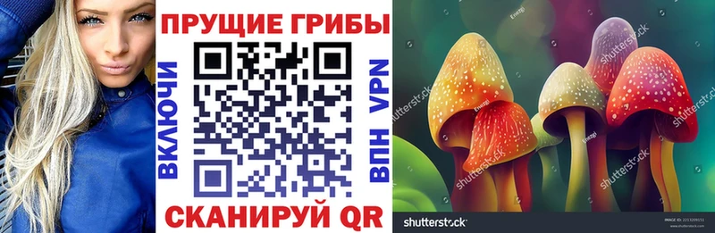 купить наркотик  Сатка  Галлюциногенные грибы мицелий 